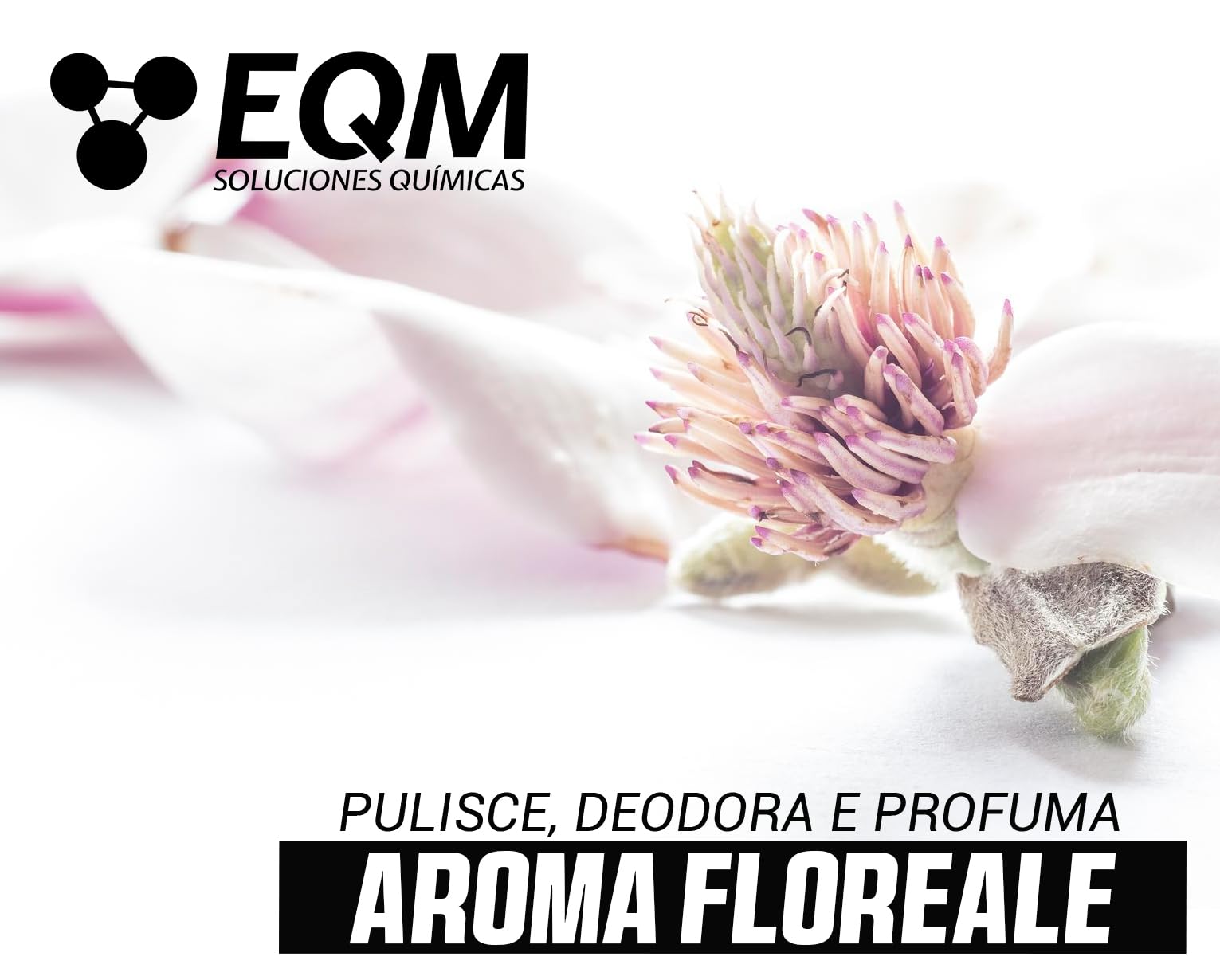 EQM - ECO-202 - Detergente per Superfici Multiple - Azione Rinforzata per una Pulizia Superiore - 5L - Alta Capacità Sgrassante e Deodorante - Aroma Floreale