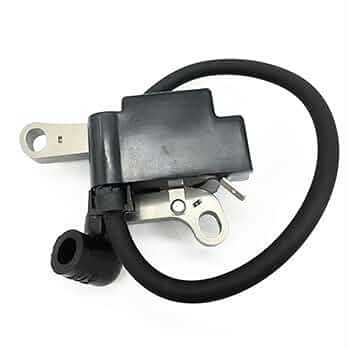 Amazon.com: Ignition Coil For Lawn-Boy 684048 684049 99-2916