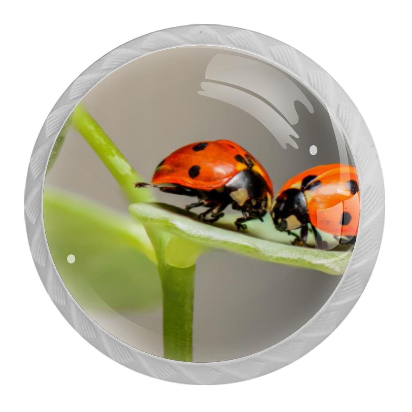 Tqmspg Multi03 4 Pieces Drawer Pulls Ladybug Ladybird Door Knobs Dresser Handles For Kitchen Wardrobe Cupboard Hardware Furniture