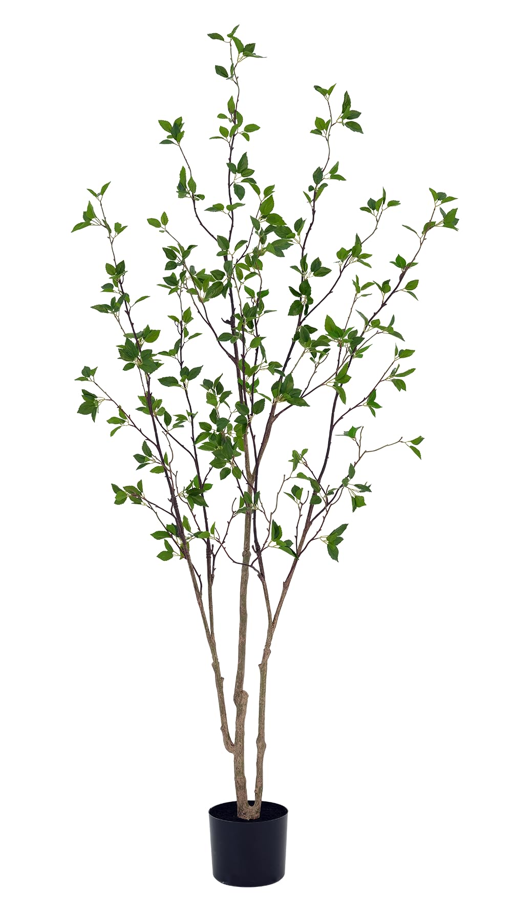 6ft Faux Citrus Tree, Artificial Minimalist Citrus Tree with Lifelike Leaves,Fake Plant Indoor for Home Office Living Room Bedroom Porch Floor Decor