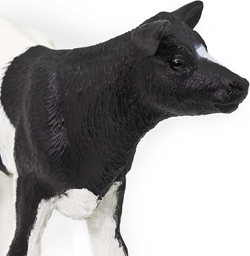 Miniatura 7 de Safari Ltd. Holstein Figura de ternero – Figura detallada de plástico de 3.25 pulgadas – Divertido juguete educativo para niños, niñas y niños a