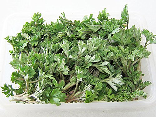 kCYVRMi100gj×5pbNyo׌:kClGH[z