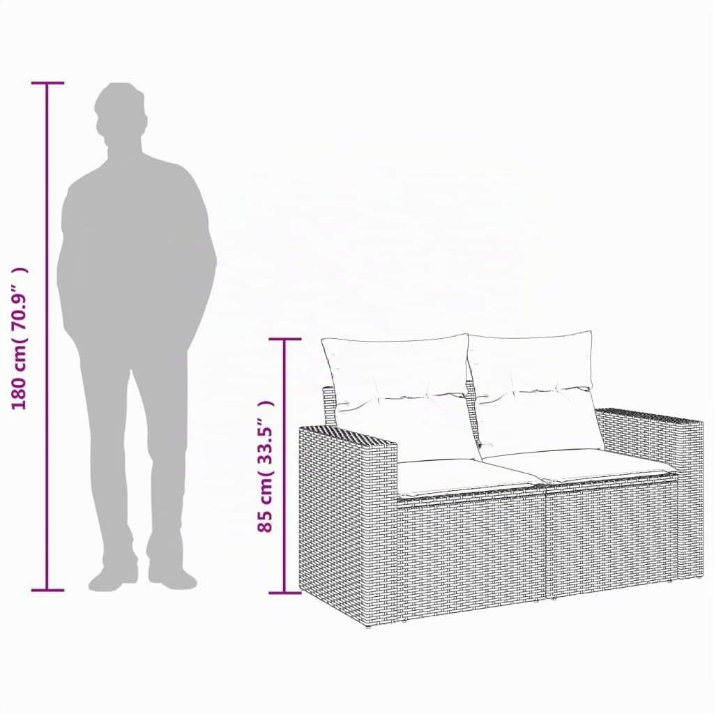 vidaXL Canapé de Jardin avec Coussins 2 Places, Siège avec Dossier, Meuble de Patio Arrière-Cour Terrasse Extérieur, Noir Résine Tressée