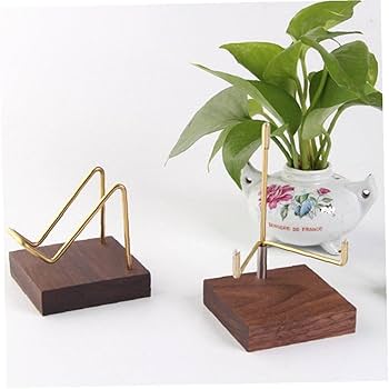 Amazon.co.jp: 鉱物化石 ディスプレイ スタンド 木製ベース ロック