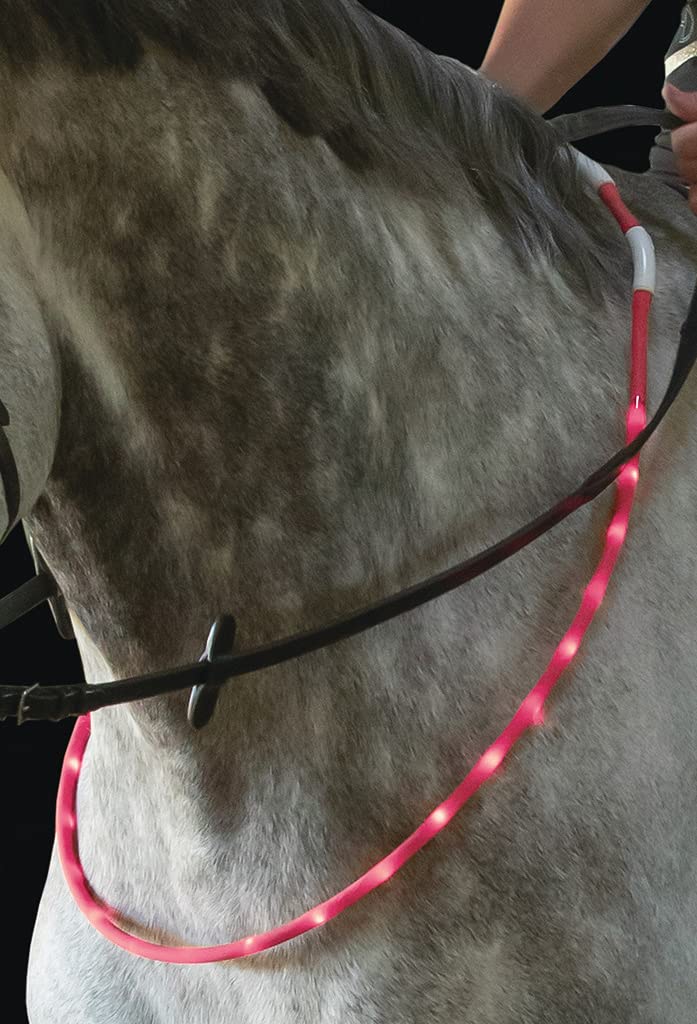 LED-Leuchthalsring für Pferde