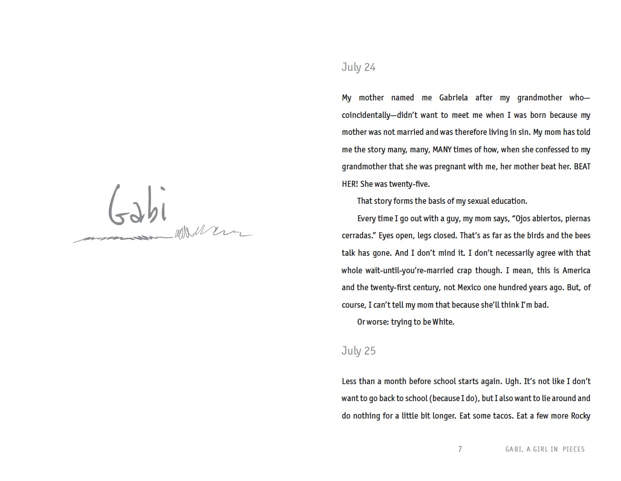 Gabi, a Girl in Pieces
