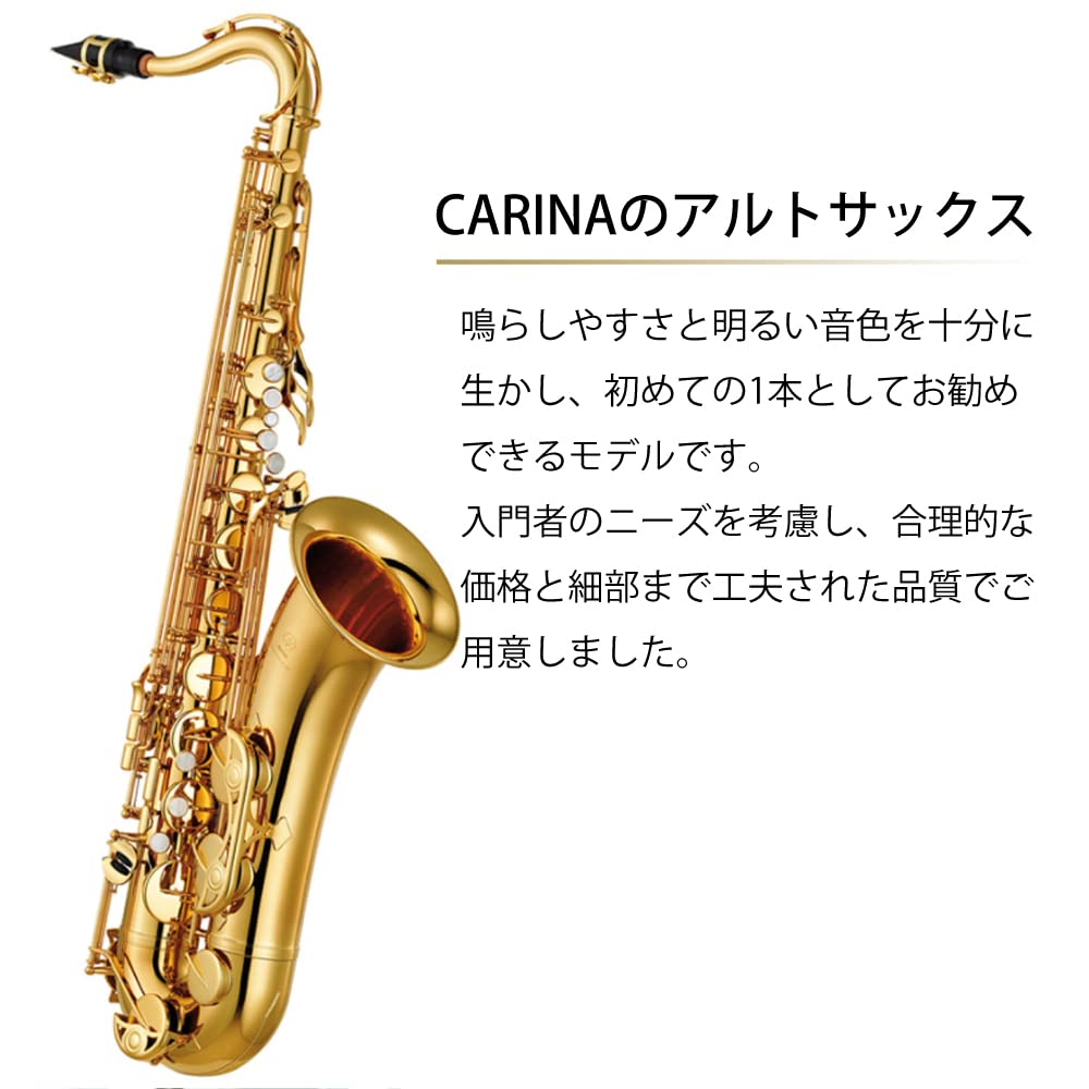 Amazon | Carina カリーナ アルトサックス 初心者 入門 9点セット
