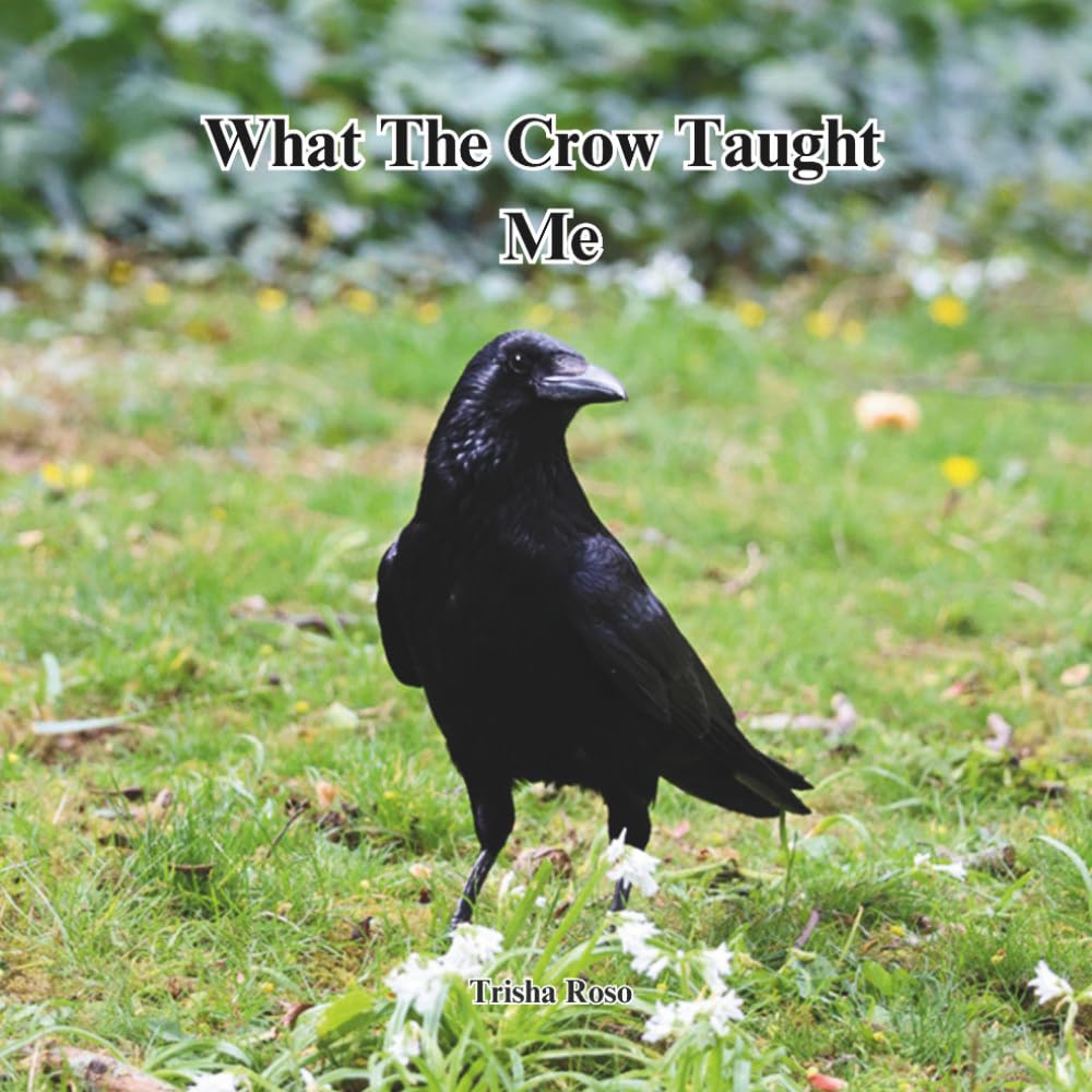 What The Crow Taught Me