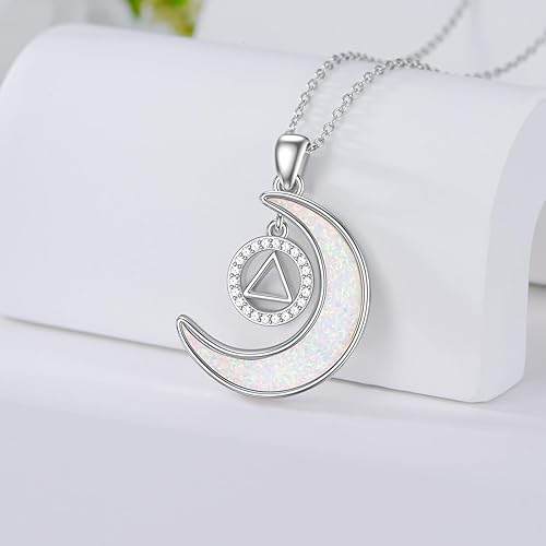 Miniatura 4 de KQF DragonflyHummingbirdHedgehogOwlSobrietyAngel Wings Necklace Sterling Silver Moon Necklace Dragonfly Gifts For Dragonfly Lovers Gifts Wife Mom