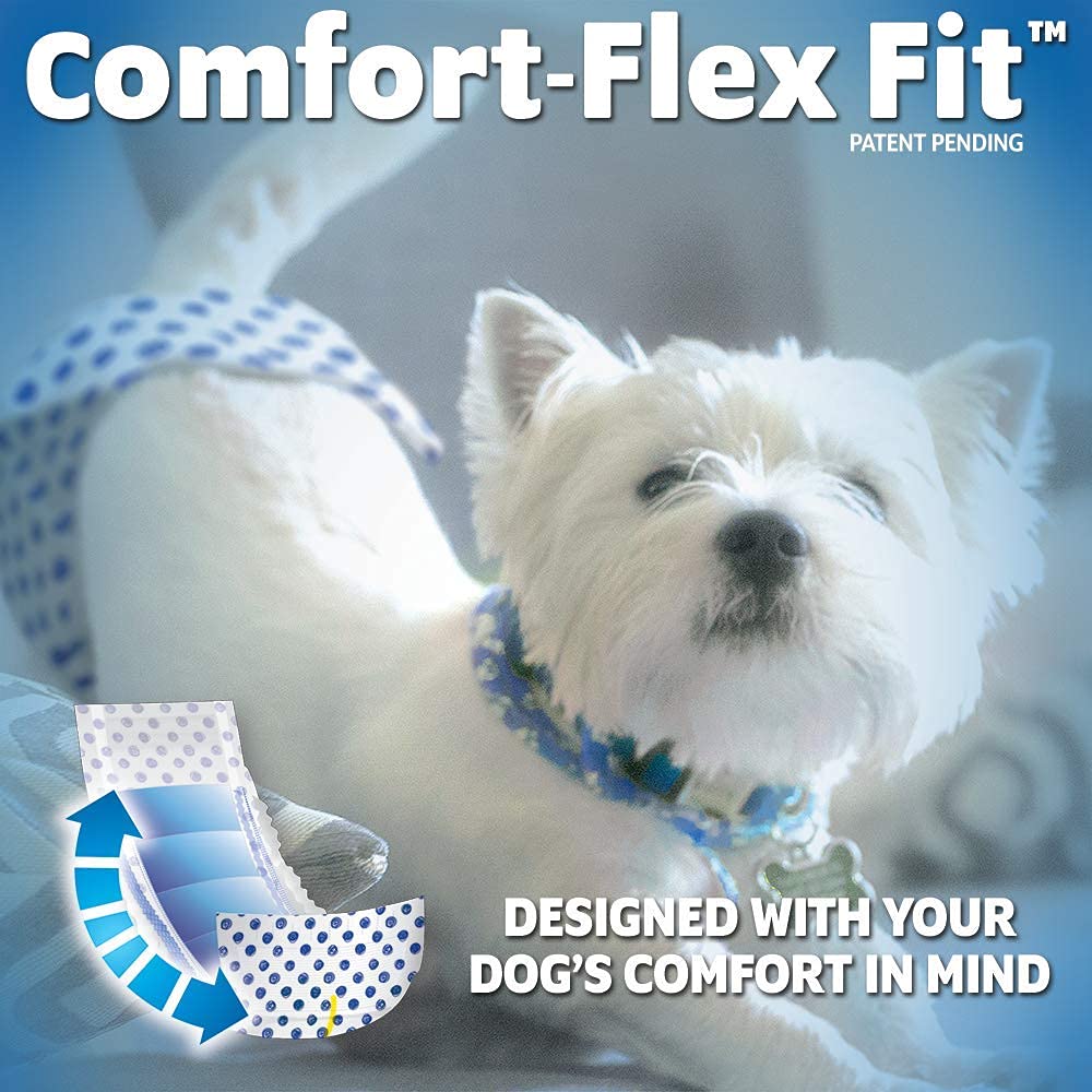 Buy OUT Disposable Male Dog Diapers XS-S Online at Low Prices in