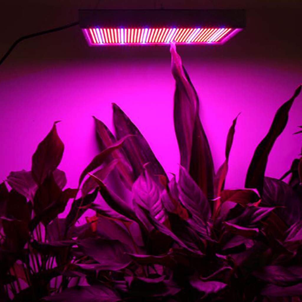 Lumière de croissance des plantes, lumière de remplissage des plantes à LED, 200w, lampe de croissance des plantes d'intérieur, pour la croissance des plantes, spectre complet, lampe de croissance de