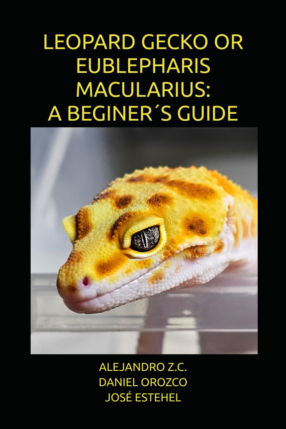 LEOPARD GECKO OR EUBLEPHARIS MACULARIUS: A BEGINER´S GUIDE