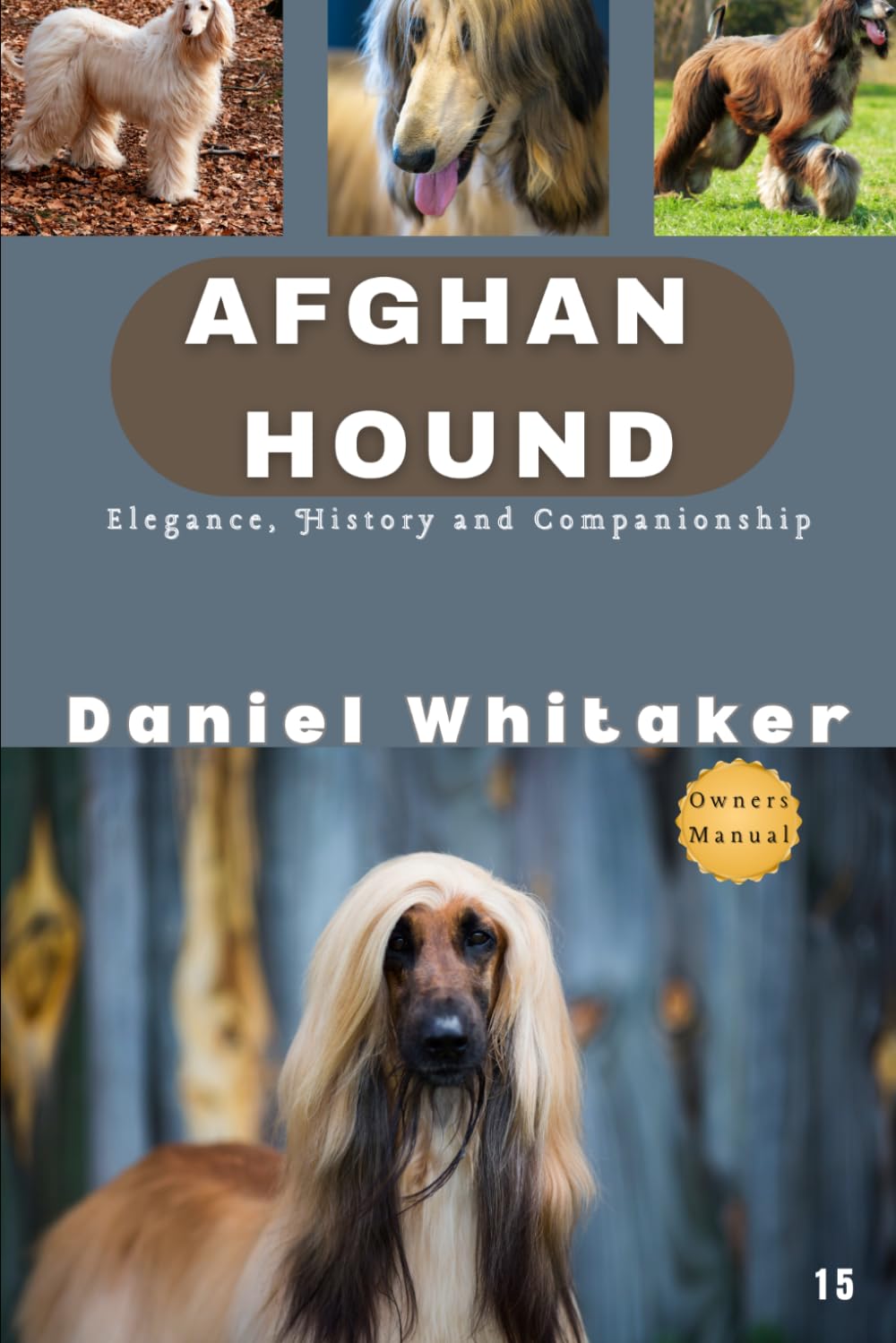 Afghan Hound: Elegance, history and companionship