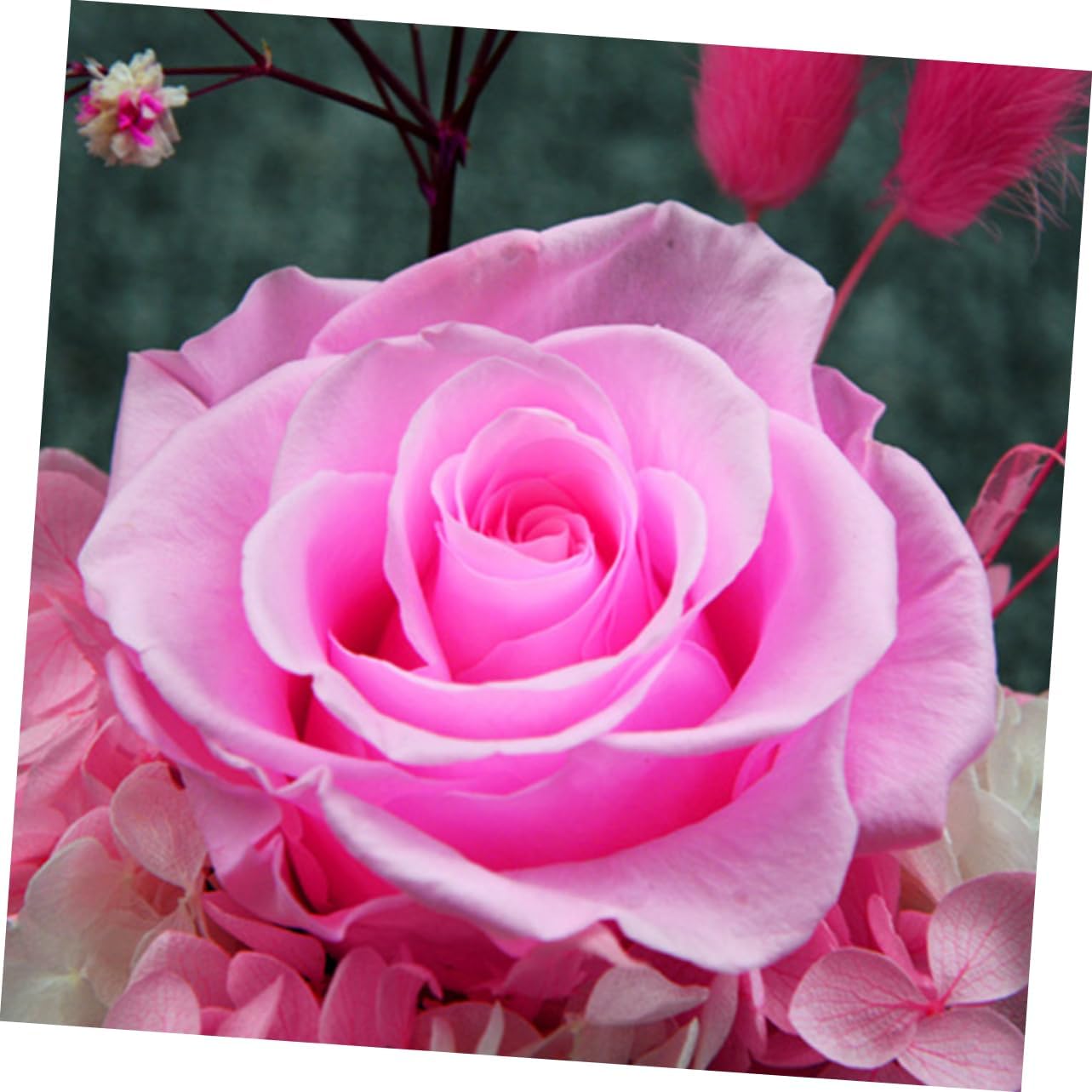 Unomor Romantic Preserved Rose Glass Dome Box Eternal Flower Decoration for Valentine Day Mother Day Weddings Anniversaries Create Warm Atmosphere Any Room