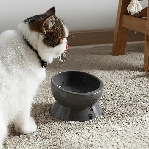 Miniatura 7 de Y YHY Cuenco elevado para comida para gatos, cuenco elevado para alimentos y agua para mascotas, cerámica, 15 onzas