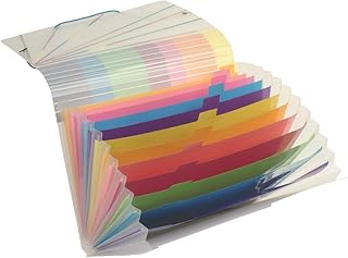 Viquel Propystick - Cartellina a fisarmonica con 12 posizioni in plastica espandibile, formato A4, per trasportare e riporre documenti, chiusura con elastico