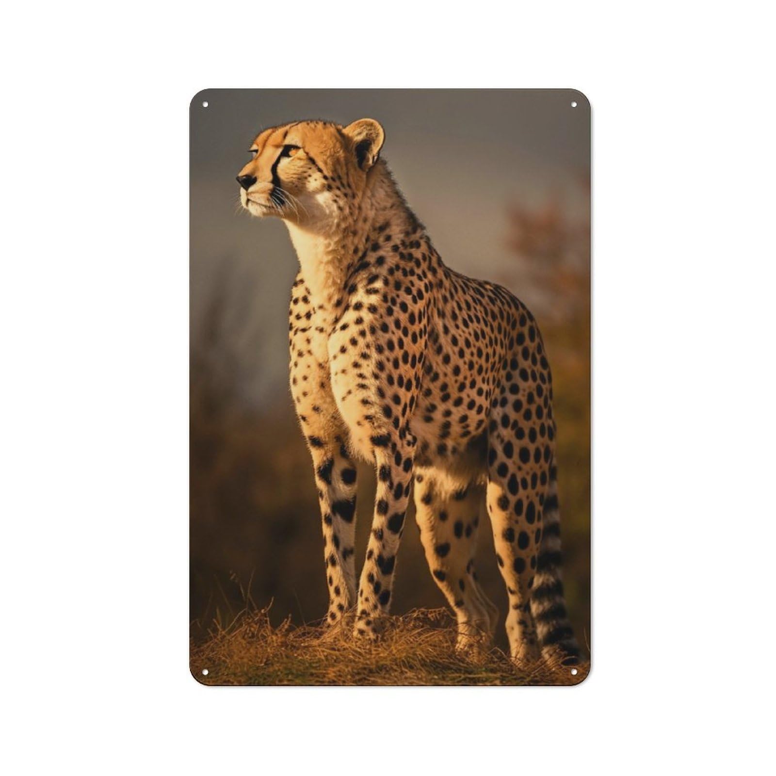 Junmoney Majestic Cheetah Close Up Decorative Tin Sign 30X20cm, Old Fashioned Vintage Wall Decor For Lounge, Study, Pub Or Wall Gallery