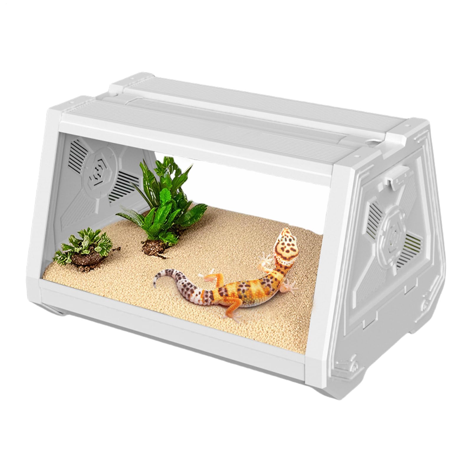 Terrarium dla gadów, klatka dla brodatego, rozszerza pole widzenia, zagroda dla kraba pustelnika, wielofunkcyjne siedlisko trapezowe dla skorpionów, 25 x 18 x 18 cm