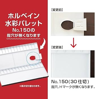 ホルベイン 水彩用パレット ピールオフパレット オーバルS(2枚入)121303 ggw725x 31QnPlFEdxL.jpg_BO30,255,255,