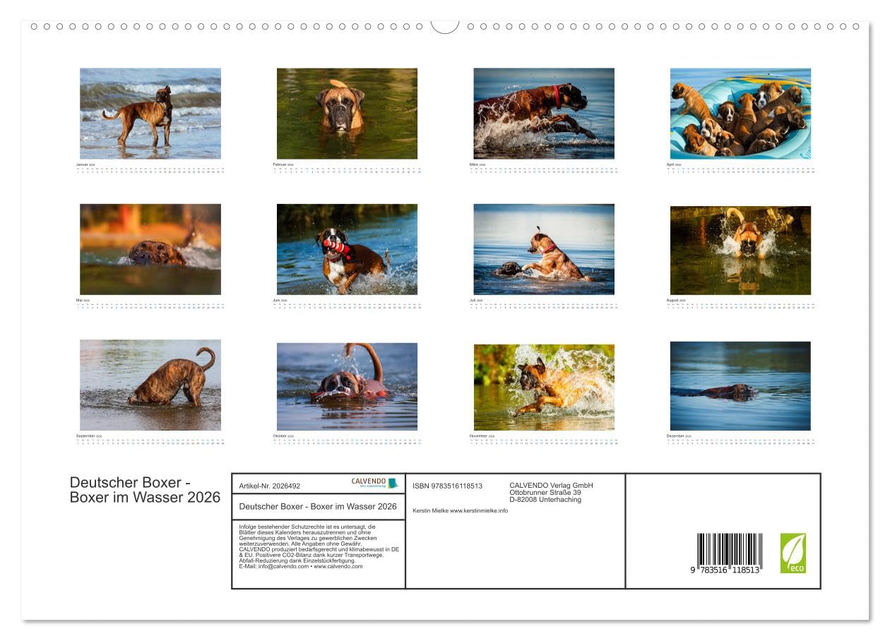 Deutscher Boxer - Boxer im Wasser 2026 (hochwertiger Premium Wandkalender 2026 DIN A2 quer), Kunstdruck in Hochglanz: Boxer im Wasser fotografiert (CALVENDO Tiere)