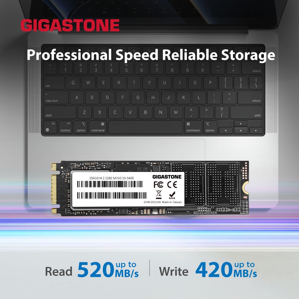 Amazon.co.jp: Gigastone M.2 SSD 256GB 2パック SATA III 520MB/秒 Amazon.co.jp: Gigastone M.2 SSD 256GB 2パック SATA III 520MB/秒