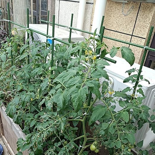 Miniatura 5 de Fercery Garden Stakes - Juego de 28 estacas de tomate resistentes de 16 pulgadas, 14 conectores redondos, 14 abrazaderas giratorias, bricolaje de 4