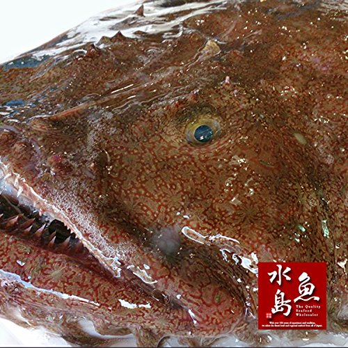 Amazon.co.jp: 魚水島 新潟・佐渡産 天然 あんこう アンコウ 一匹丸