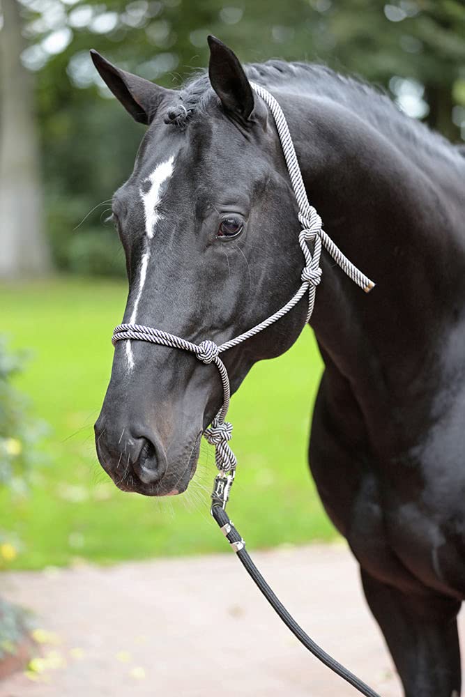 Kerbl 3297747 Black Grey Cob Knotted Headcollars (Pack of 50)