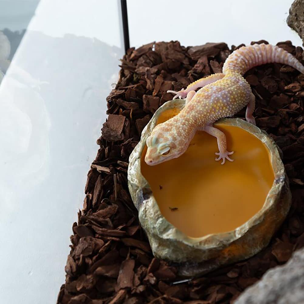 OMEM Plato de agua para reptiles de resina natural, decoración de terrario para tortuga, gecko lagarto, araña, plato de alimentación (plato de comida, L)