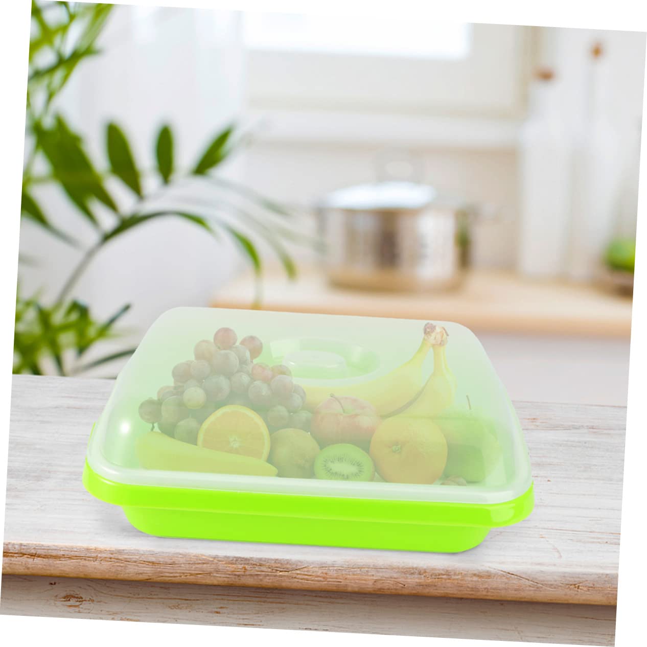 2 Juegos de Bandejas para Germinadores Tapa, Plástico Verde sin Tierra, Cultivo Rápido de Brotes Saludables en Casa Estilo Aleatorio