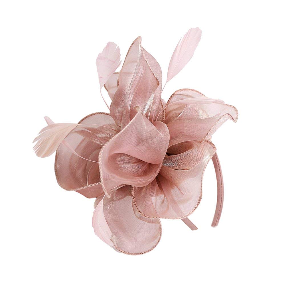 Ulalaza Women's Fascinators Hat Hair Clip Feather Wedding Bridal Cocktail Hat Derby Church Banquet for Girls