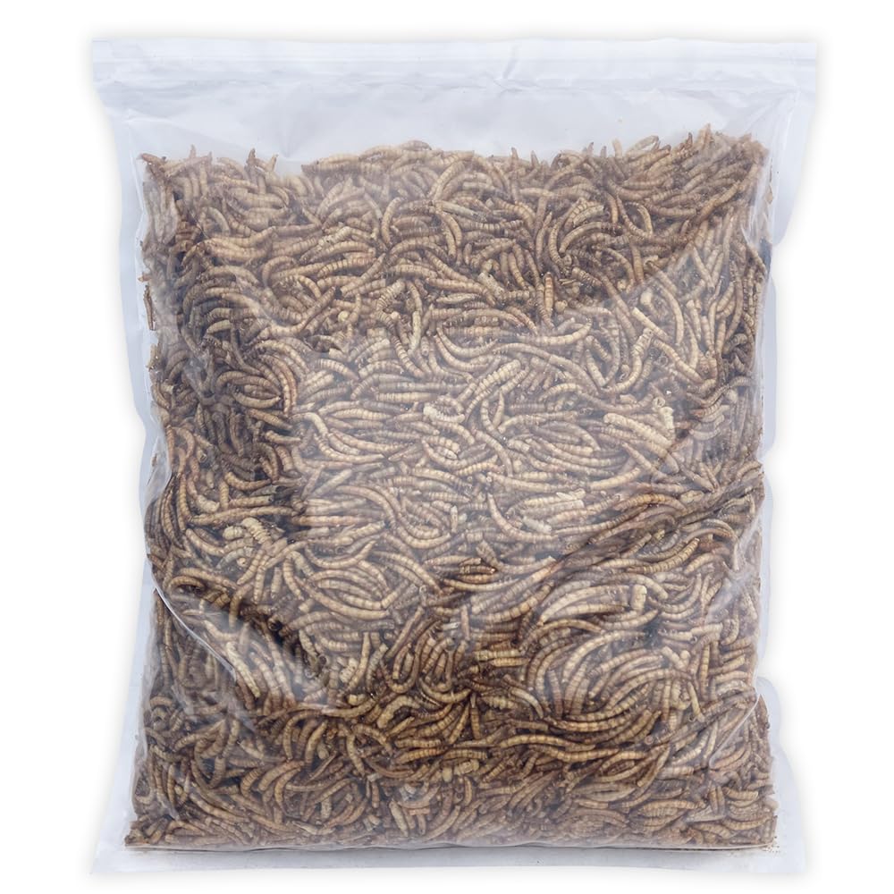 UK Grow Premium Dried Mealworms - 3L Eco-Friendly, Heat-Sealed Recyclable Bag - Nutrient-Rich Feed for many different types or reptiles and mammals (3 Litre)