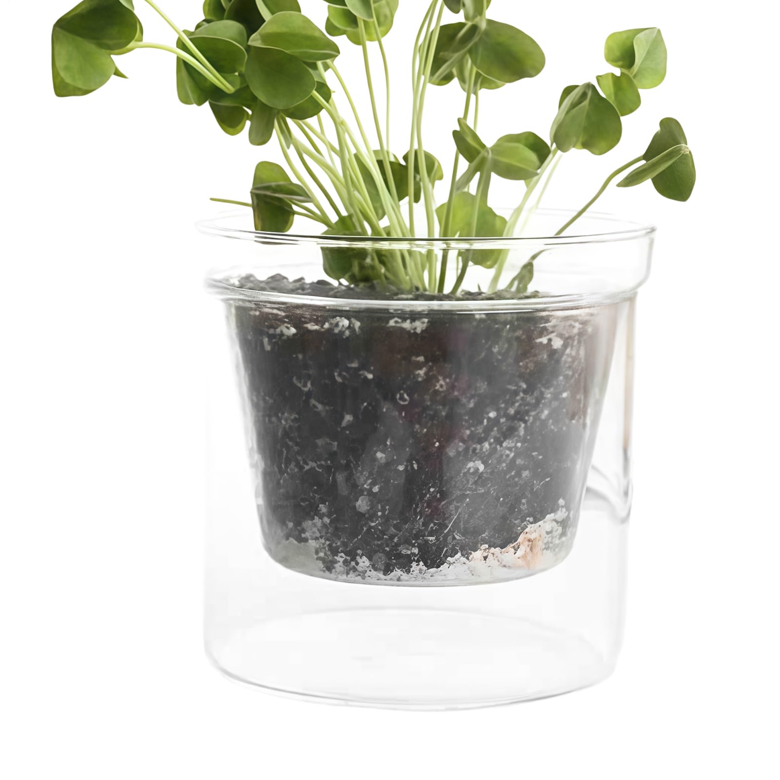 Pot de fleurs pour bureau avec réservoir d'eau intégré Generisch