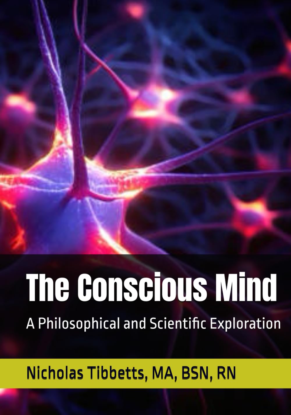 The Conscious Mind: A Philosophical and Scientific Exploration