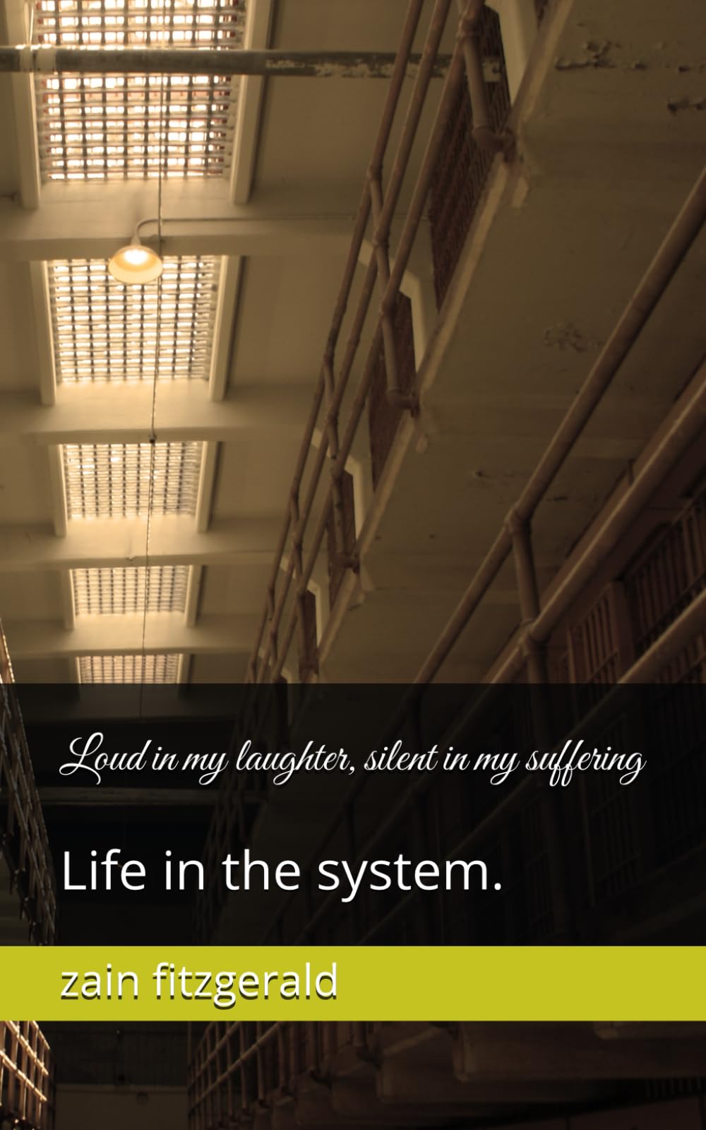 Loud in my laughter, silent in my suffering: Life in the system.