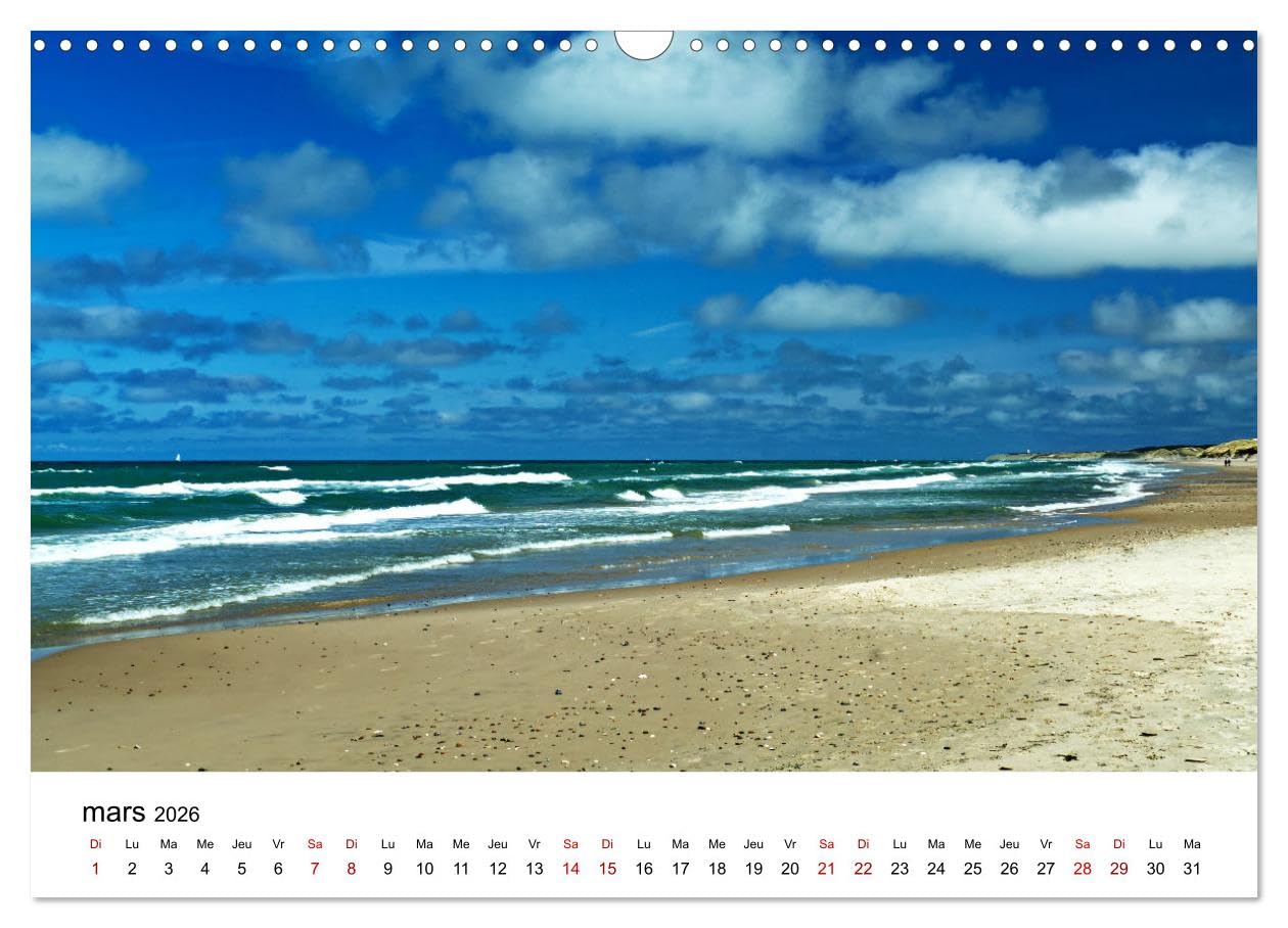 Dunes et mer - Une expérience nature (Calendrier mural 2026 DIN A3 vertical), CALVENDO calendrier mensuel: La mer et les dunes sont un habitat unique ... découvertes à l'observateur attentif.