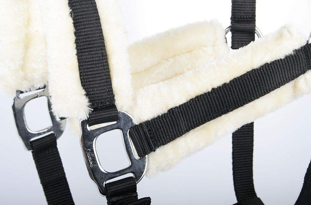 Harry's Horse 31000911-05pony Ensemble licol pour poney Noir Taille S