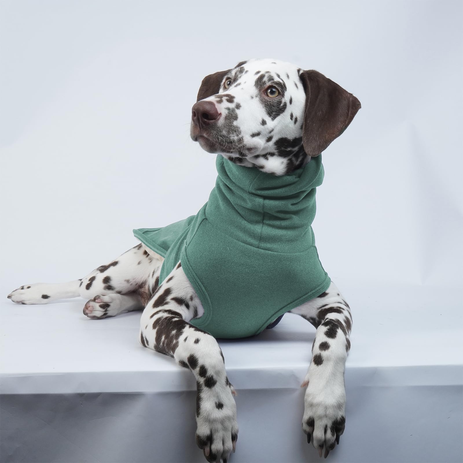 ROZKITCH Chaleco calmante para perros con capucha, cubierta suave para orejas de perro, chaqueta cálida para la ansiedad del perro con envoltura para las orejas, para fuegos artificiales, viajes,