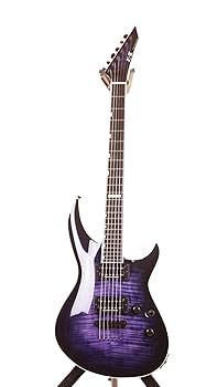 ギター ESP HORIZON DLX LEFTY GUITAR ギター ESP HORIZON DLX LEFTY GUITAR ESP HORIZON DLX LEFTY GUITAR