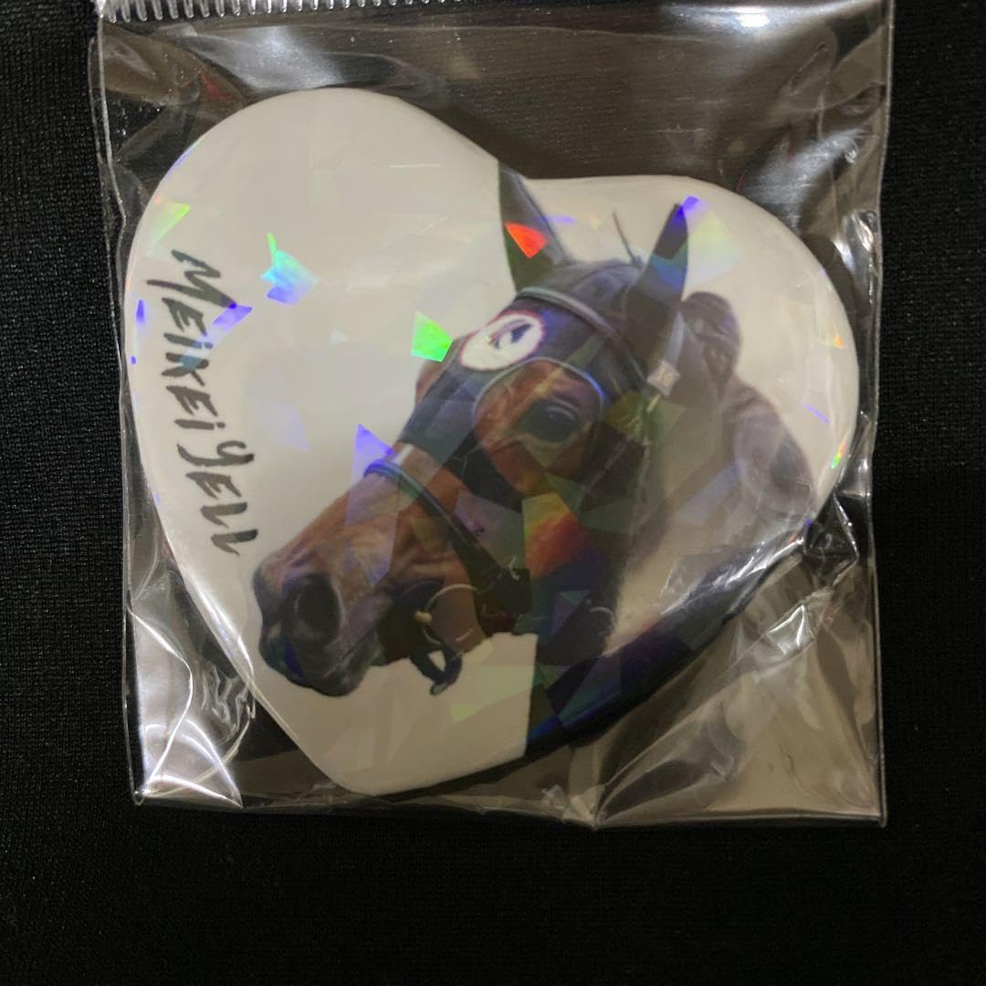 ひ*め様 メイケイエール　引退記念　ブルゾン　希少　激レア　MA-1　非売品 高松宮記念】メイケイエール ラストランは9着 池添「いい経験をさせて ジャケット・アウター