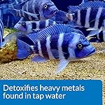 API TAP WATER CONDITIONER Aquarium Water Conditioner 16-Ounce Bottle - Image 3