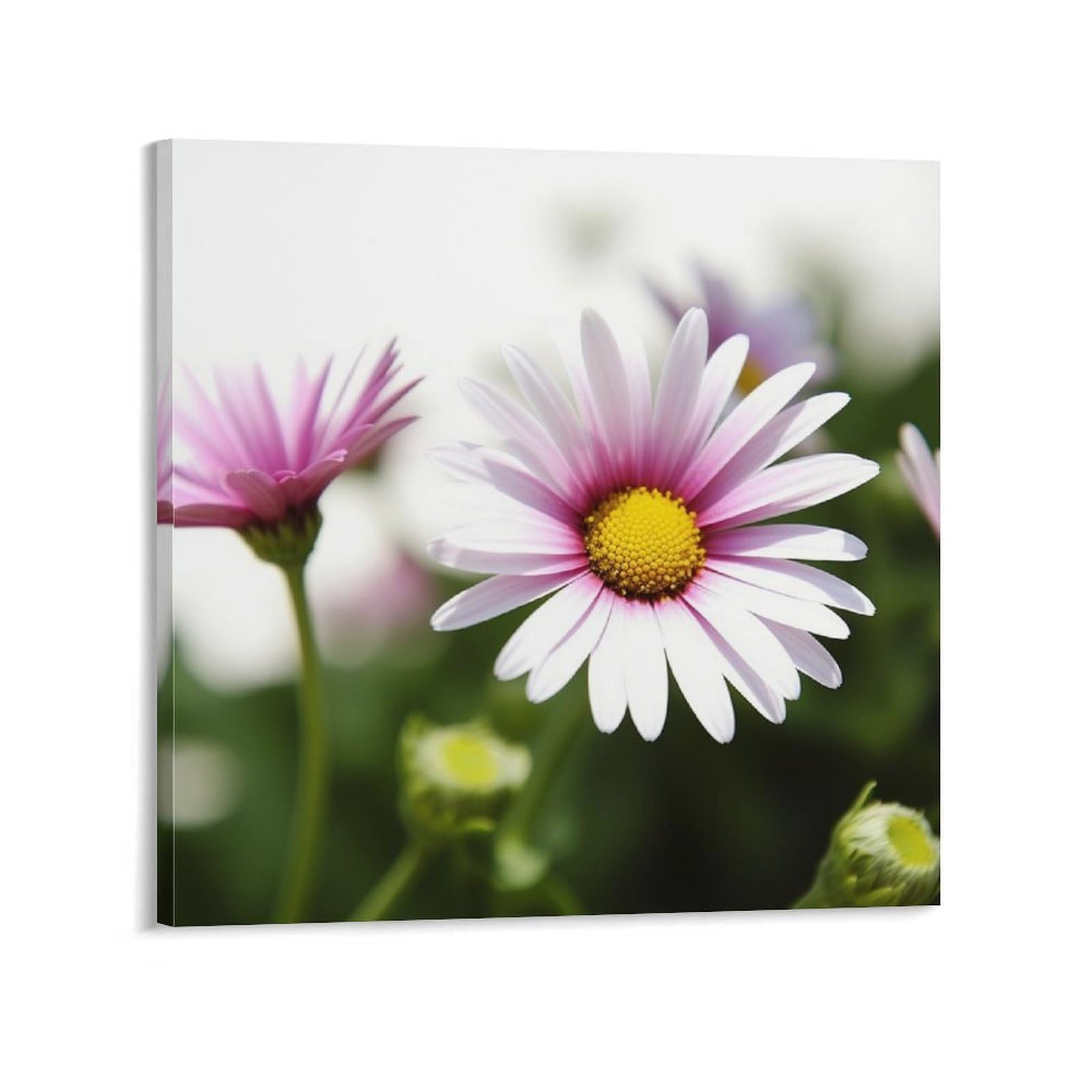 Daisy Flower Canvas Wall Art for Bedroom 16x16inch(40x40cm) Canvas Prints Artwork for Walls Modern Picture Artwork Painting for Living Room Aesthetic Wall Paintings for Bathroom Kitchen Office Decor