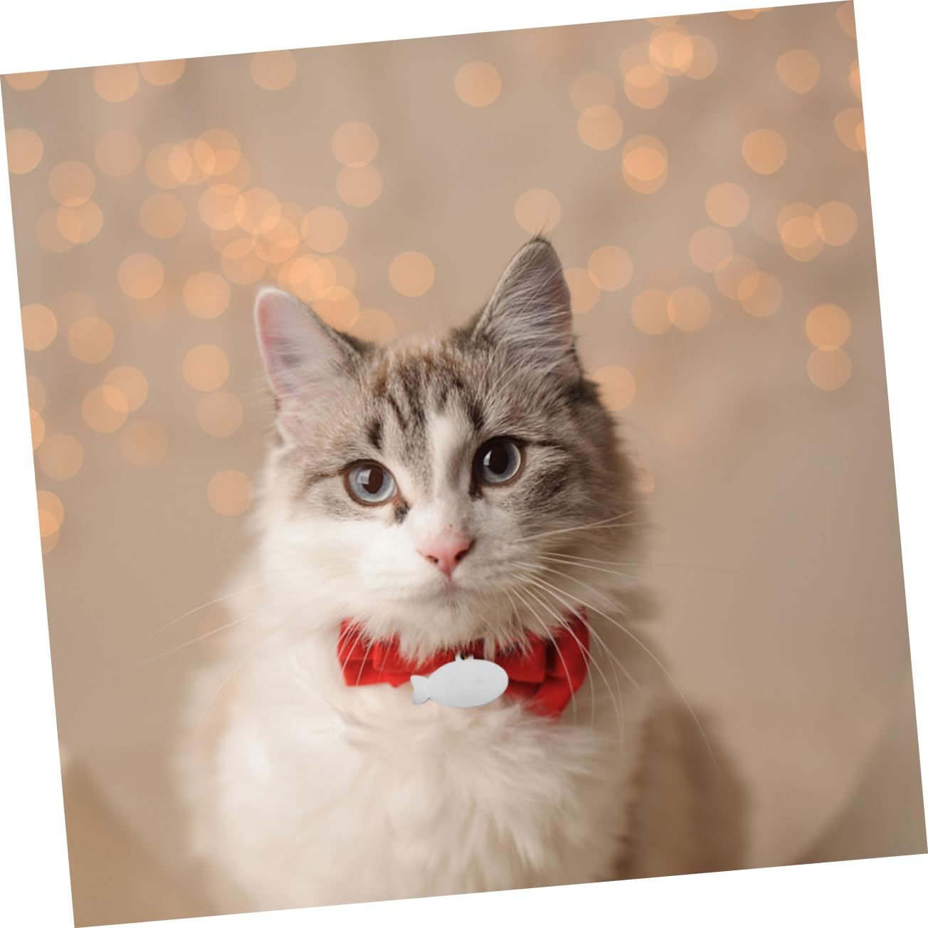 POPETPOP Elegant Cat Dog Id Tags Stainless Steel Pet Pendent for Pet Collar Accessory