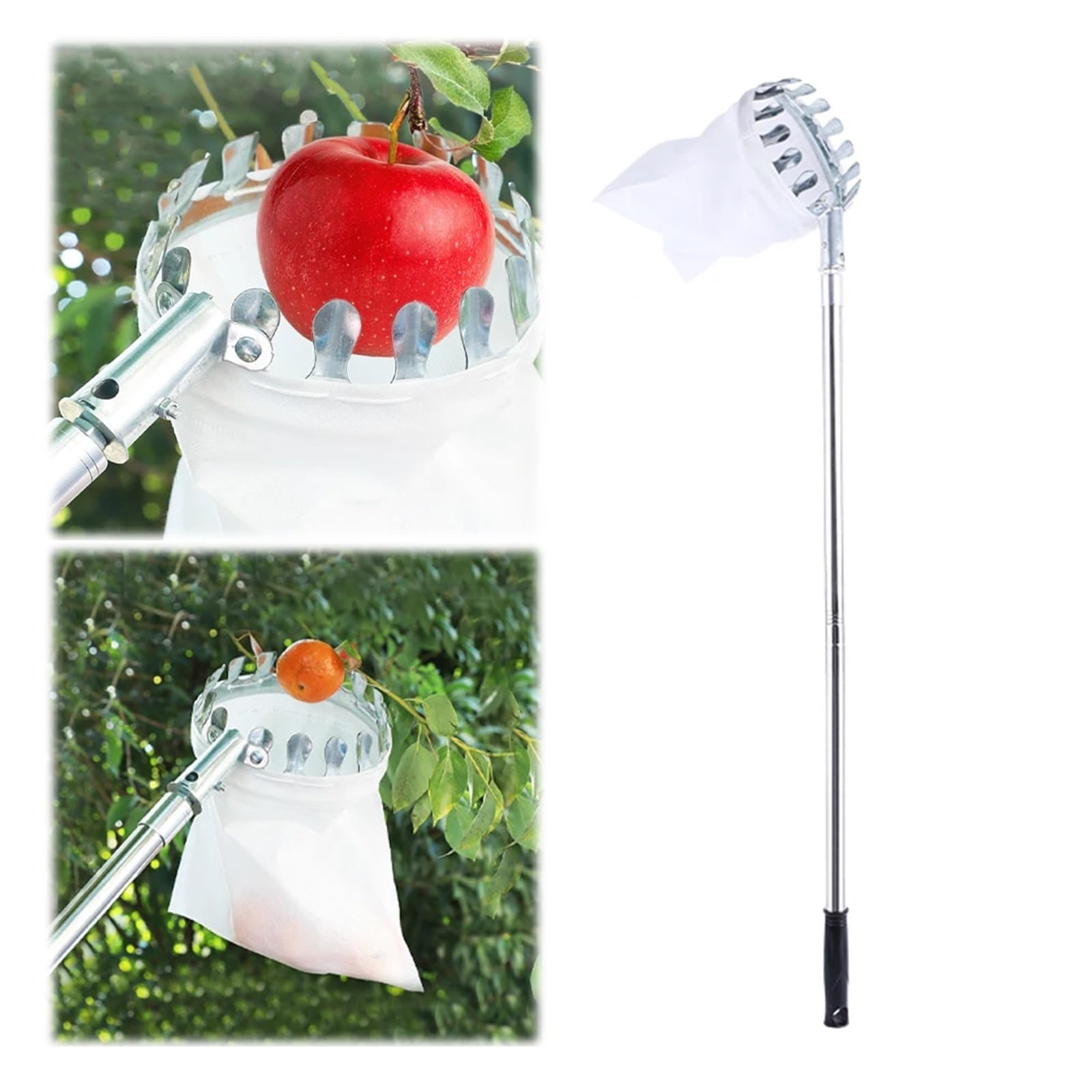 Cueille-Fruits télescopique en Acier Inoxydable for Pommes, mangues, Citrons et Oranges.(2M)