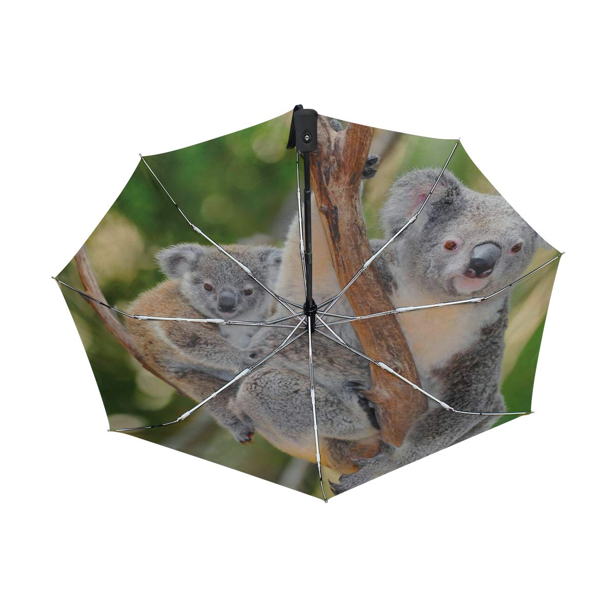 Kinderschirm Mit Sicherheitsspitzen - Lustiger Koala-Regenschirm Für Kids