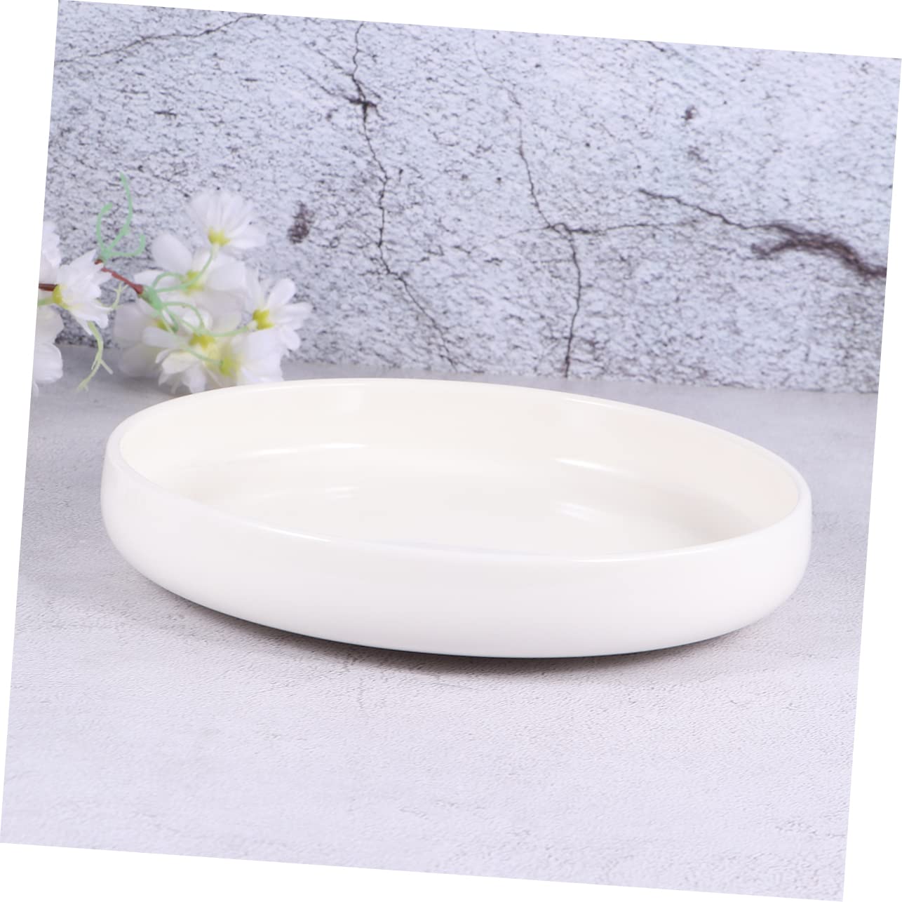 Milisten Ciotola per Rettili in Ceramica Bianca Leggera e Affidabile, Vaso Basso Adatto per Lucertole e Rane, per Mangiatoia per Tartarughe