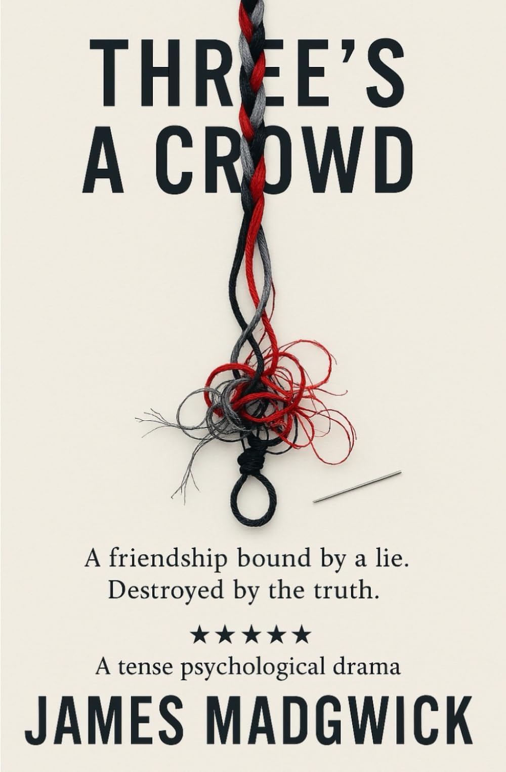 Three's A Crowd: A Psychological Thriller | A Crime Suspense Novel | Domestic Noir | Friendship & Betrayal Fiction