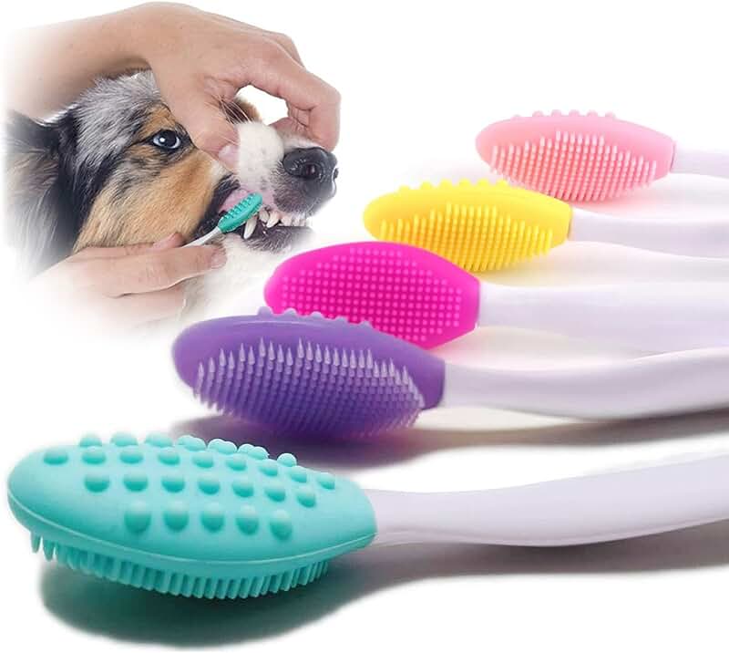 Amazon.co.uk Toothbrushes For Dogs Toothbrushes For Dogs / Dental