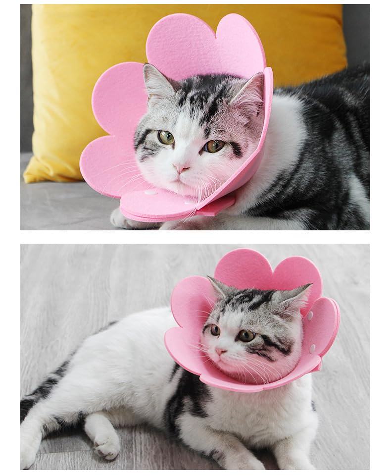 Collare Elisabettiano Morbido Per Gatti E Cani - Cono Recupero Anti-Leccata A Forma Di Fiore - Foto 2