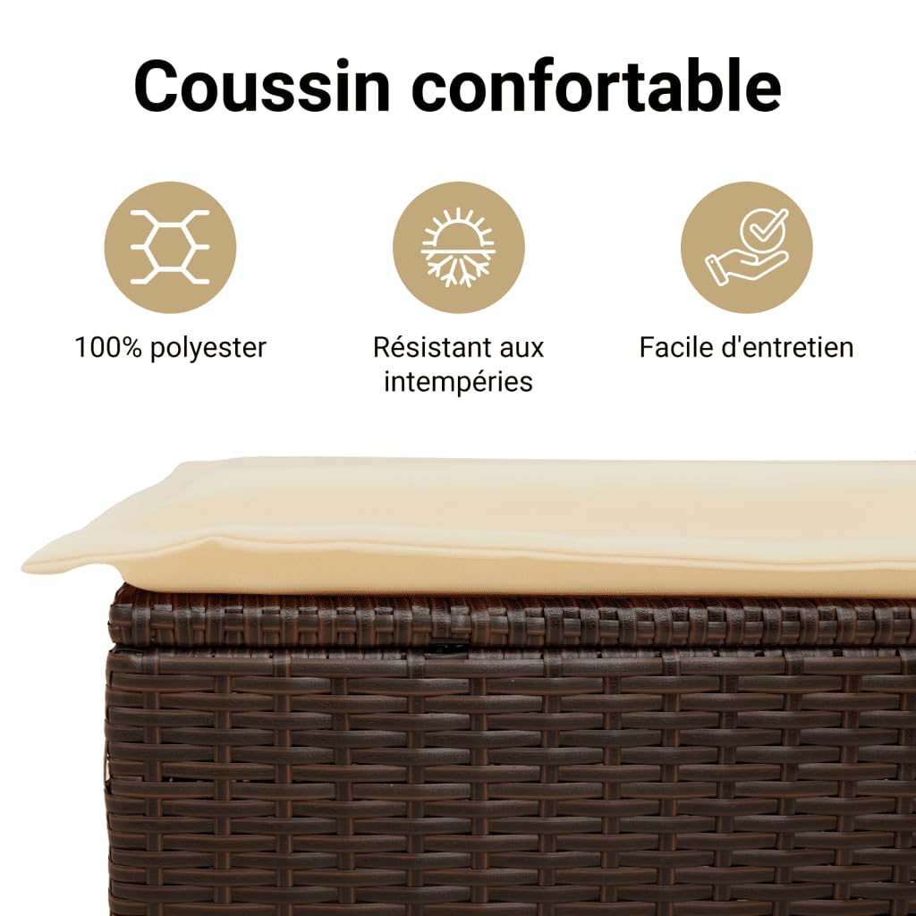 vidaXL Banc de Jardin avec Coussins, Siège de Patio, Chaise de Terrasse, Meuble de Parc Arrière-Cour Balcon Extérieur, Marron Résine Tressée